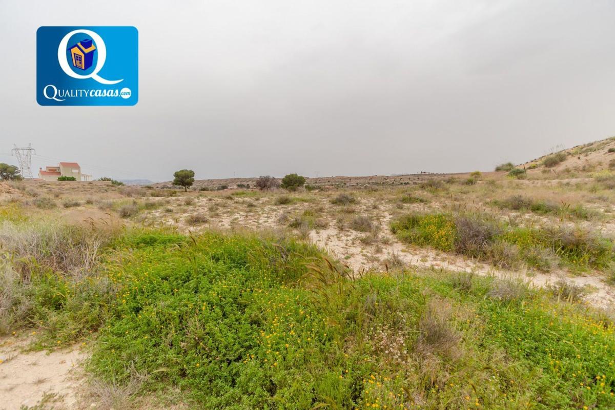 Land for sale in Alicante, Alicante photo 4