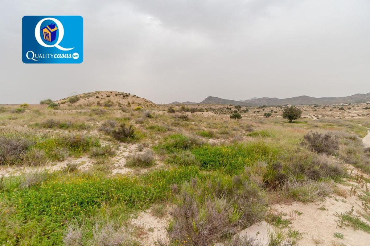 Land for sale in Alicante, Alicante photo 5