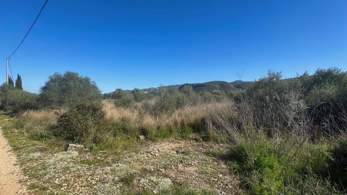 Land for sale in Benidoleig, Alicante photo 1