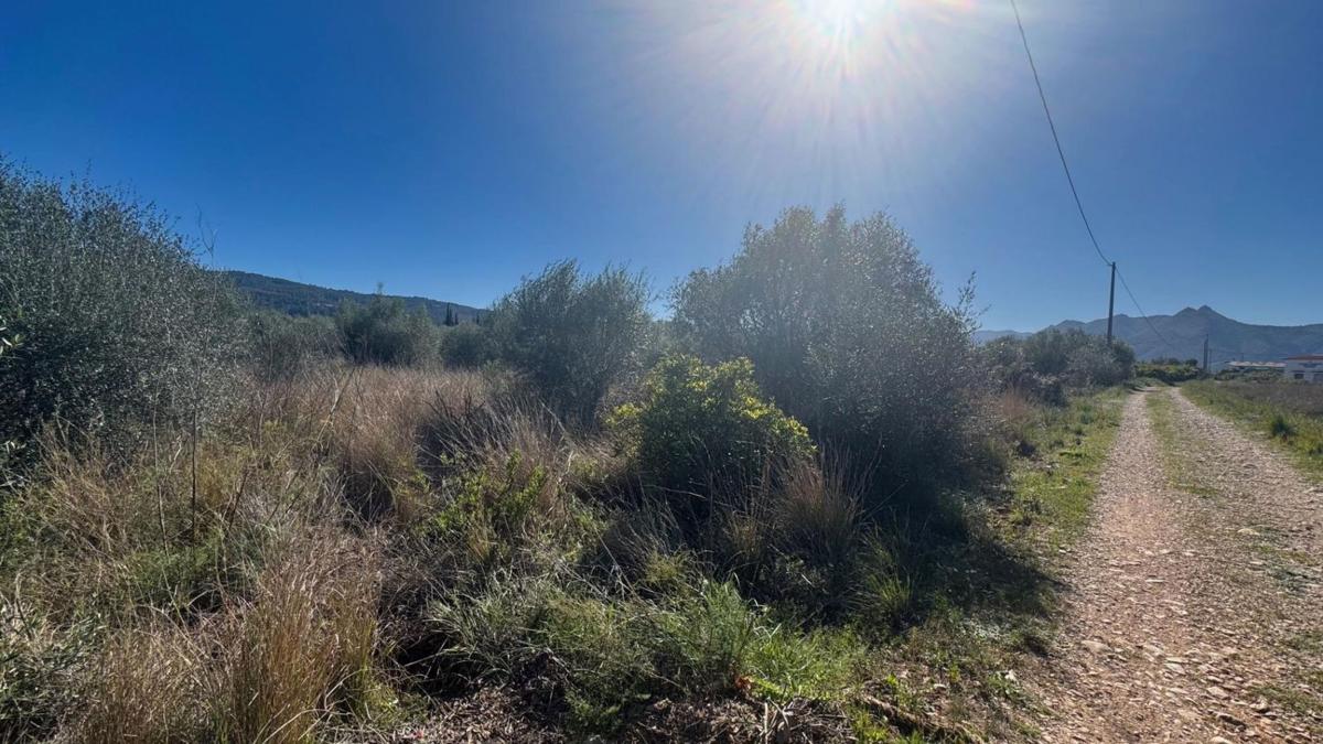 Land for sale in Benidoleig, Alicante photo 2
