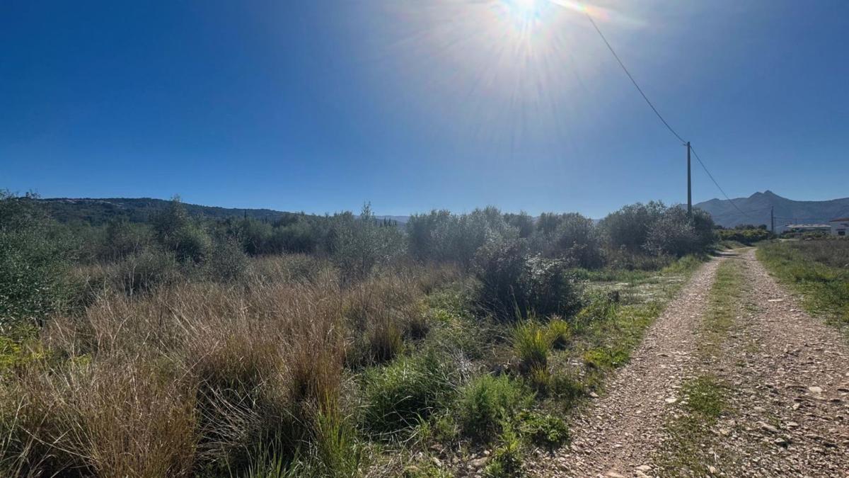 Land for sale in Benidoleig, Alicante photo 5