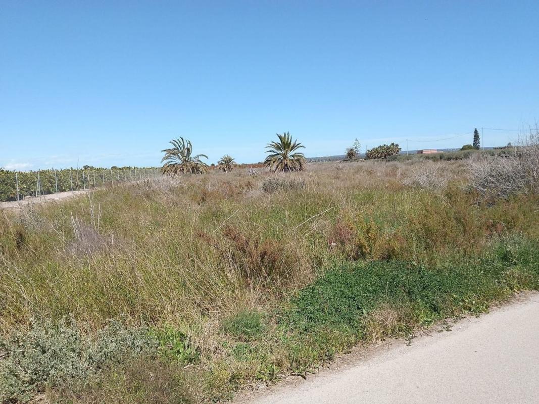 Terreno en venta en Elche / Elx, Alicante photo 1