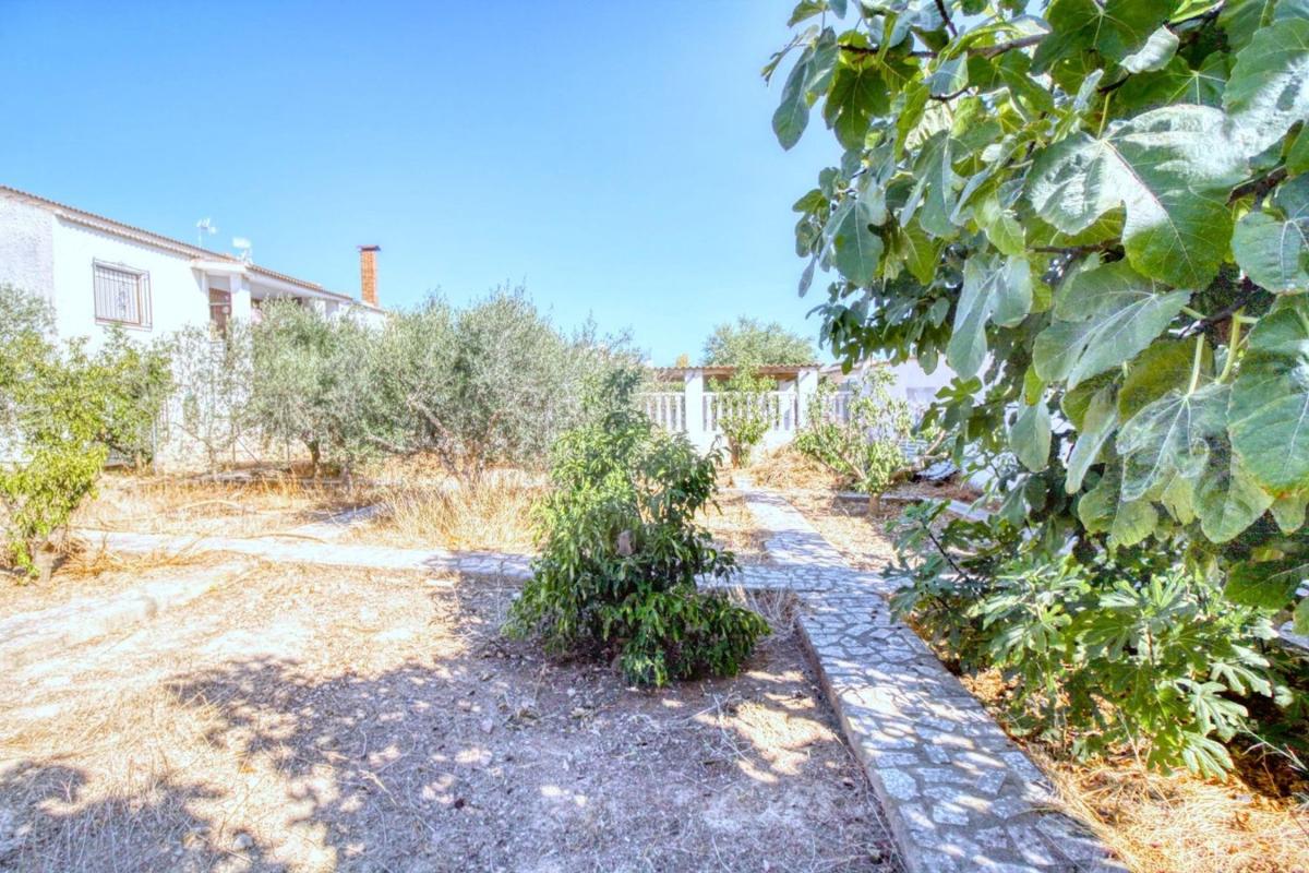 Terreno en venta en Rojales, Alicante photo 3
