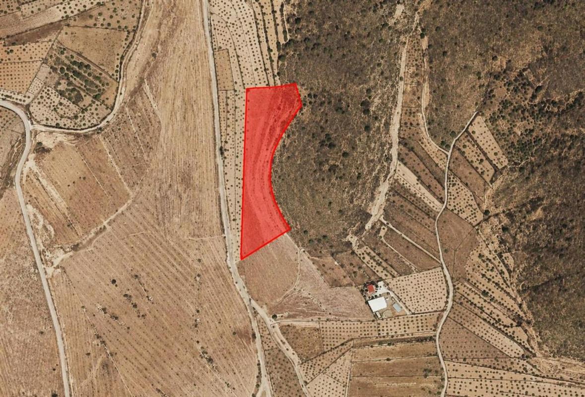 Terreno en venta en Orihuela, Alicante photo 1