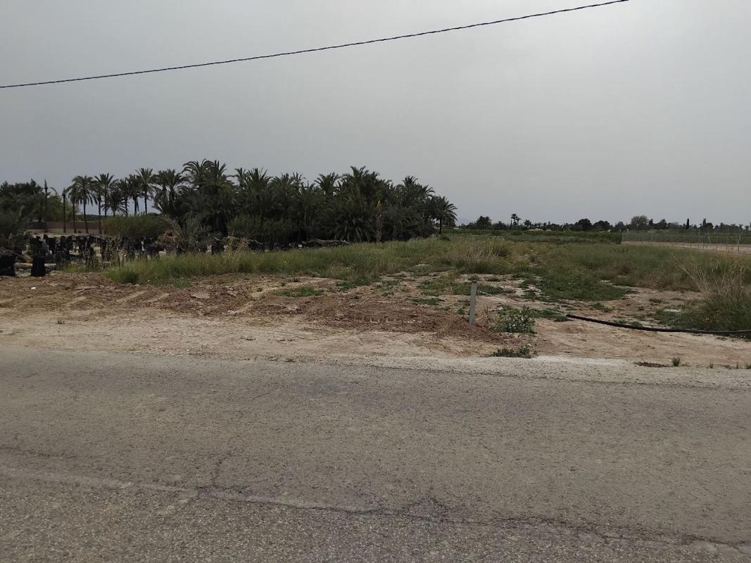 Terreno en venta en Elche / Elx, Alicante photo 4