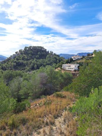 Terreno en Partida Tosal - Zona dels Castellans photo 1