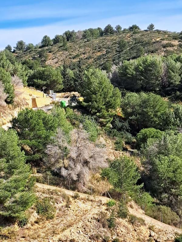Terreno en venta en Jávea/Xàbia, Alicante photo 2