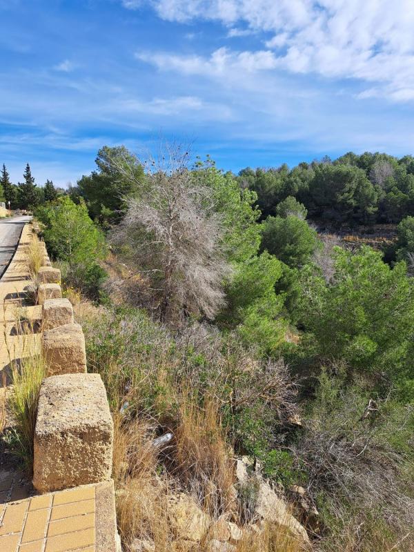 Terreno en venta en Jávea/Xàbia, Alicante photo 4