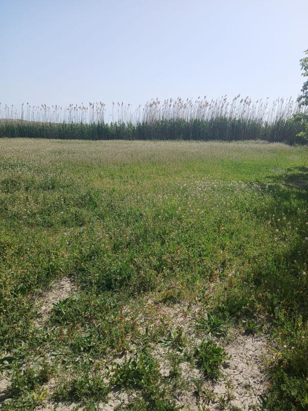 Land for sale in San Fulgencio, Alicante photo 1