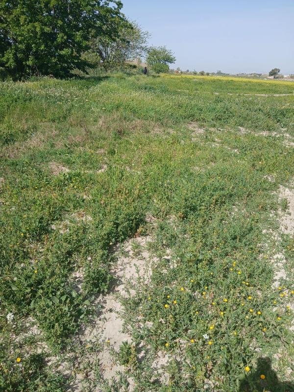 Land for sale in San Fulgencio, Alicante photo 2
