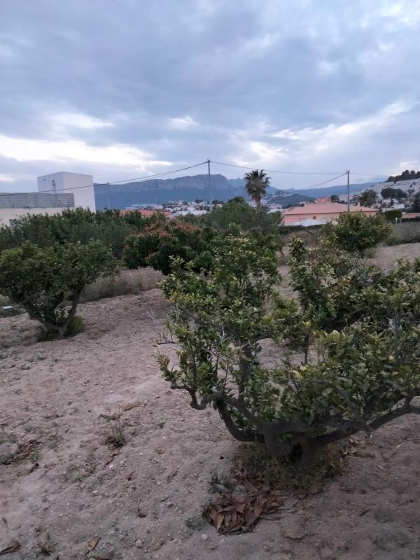Terreno en venta en Calpe, Alicante photo 1