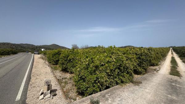 Terreno en Pego photo 1