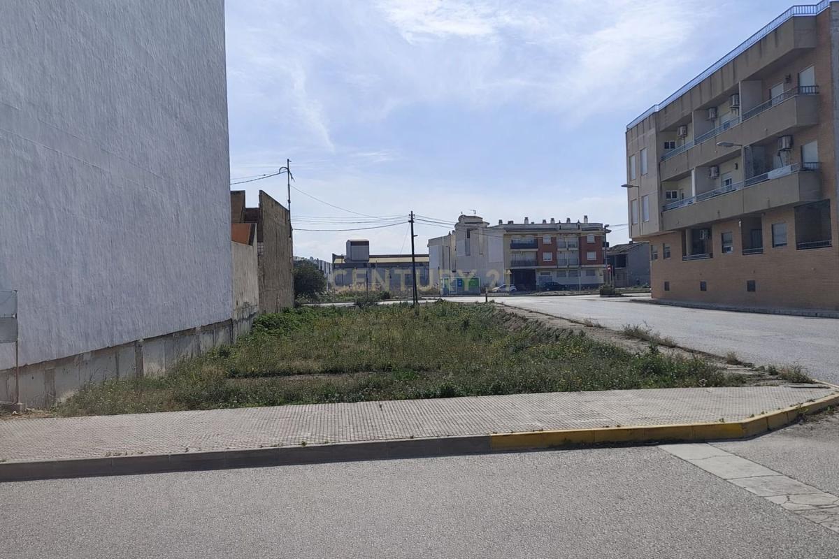 Участок земли на продажу в Долорес, Аликанте photo 2