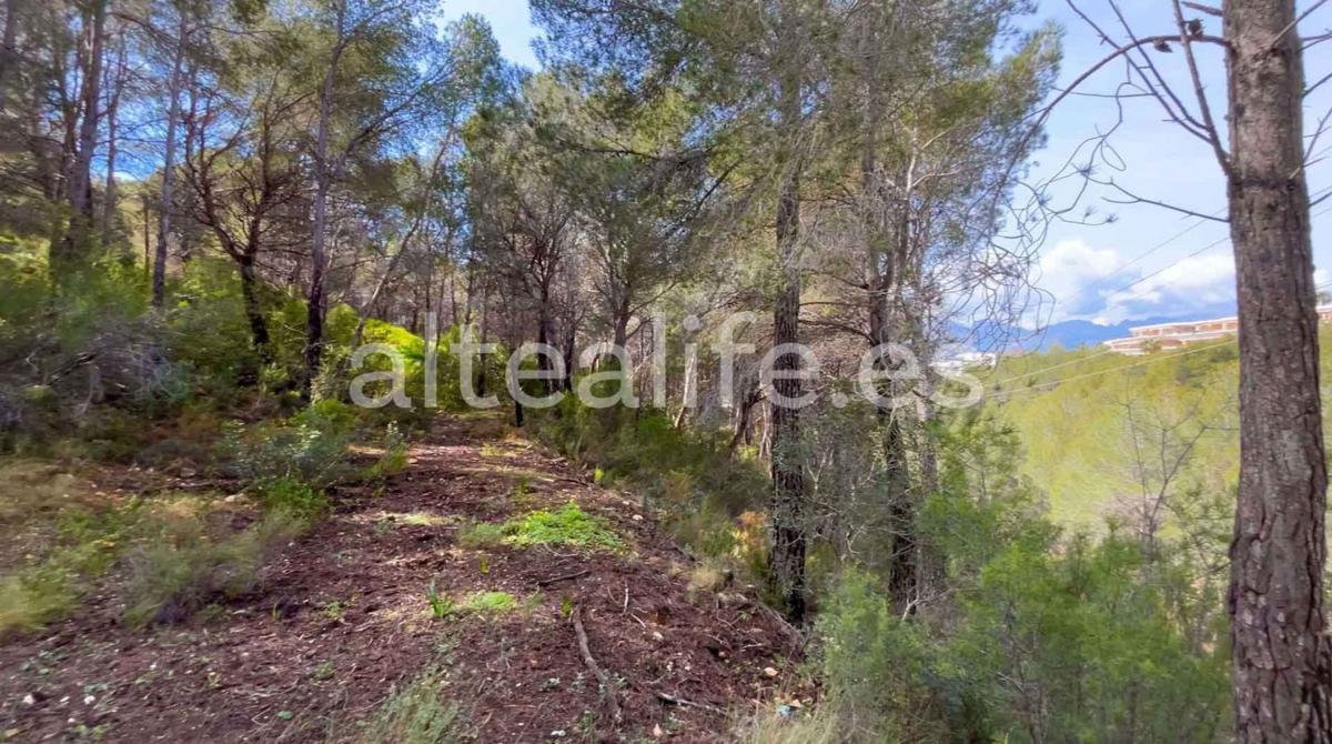 Land for sale in Altea, Alicante photo 1