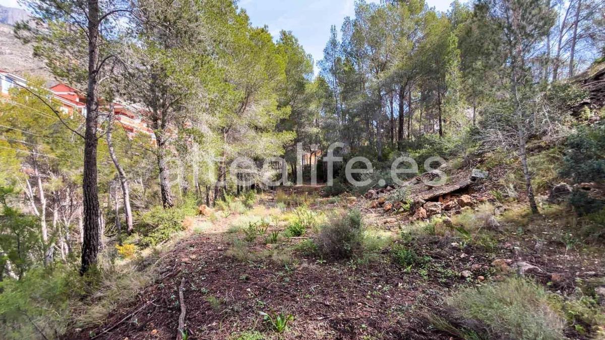 Land for sale in Altea, Alicante photo 2