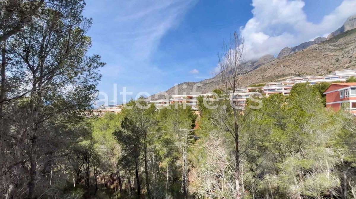 Land for sale in Altea, Alicante photo 3