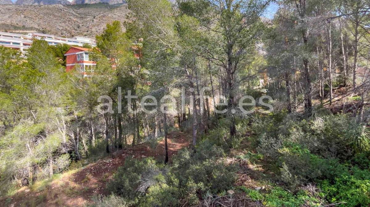 Land for sale in Altea, Alicante photo 4