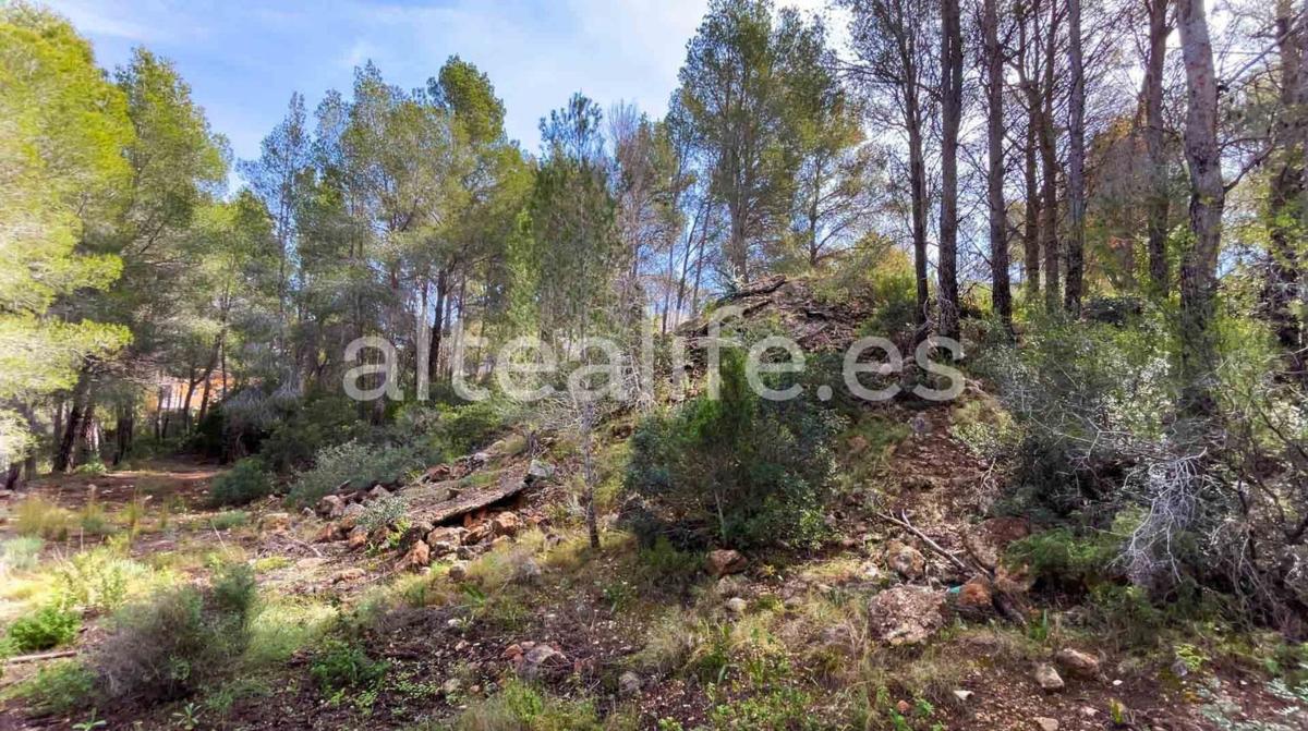 Land for sale in Altea, Alicante photo 5