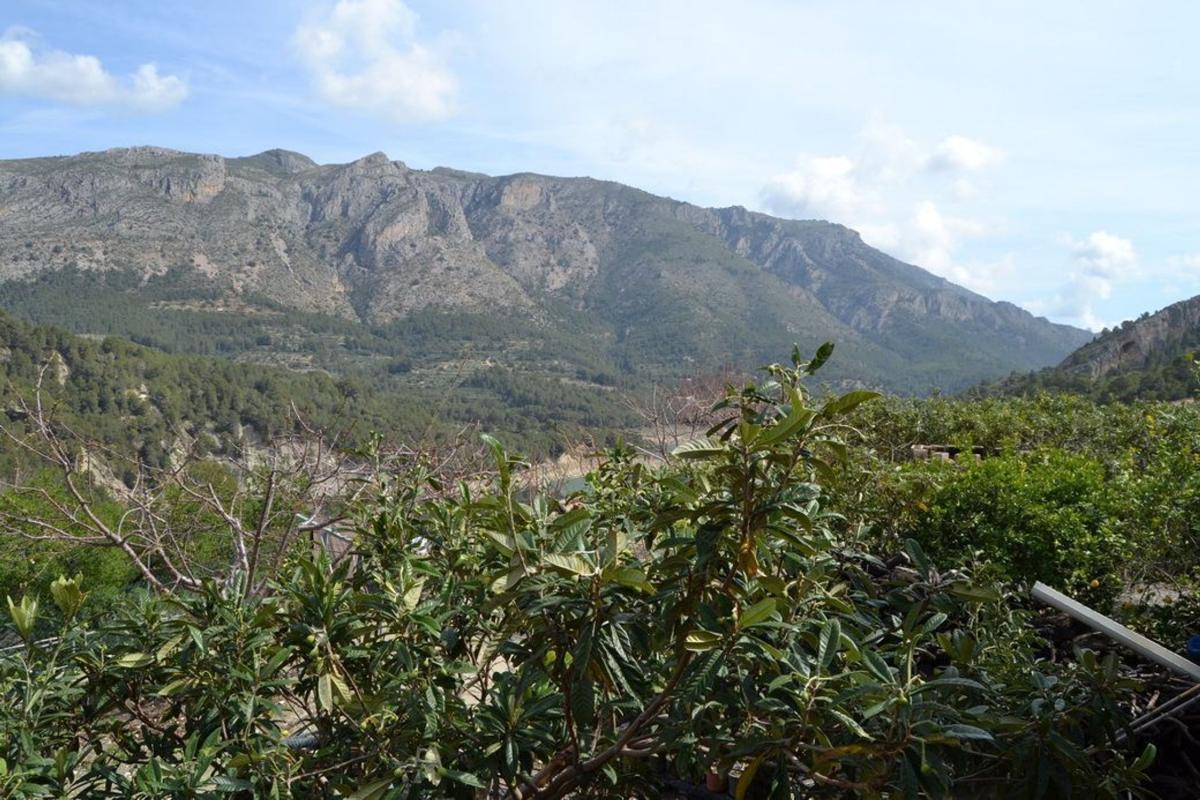 Terreno en venta en Beniarda, Alicante photo 4