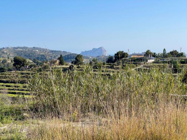 Terreno en calle Clara Campoamor photo 3