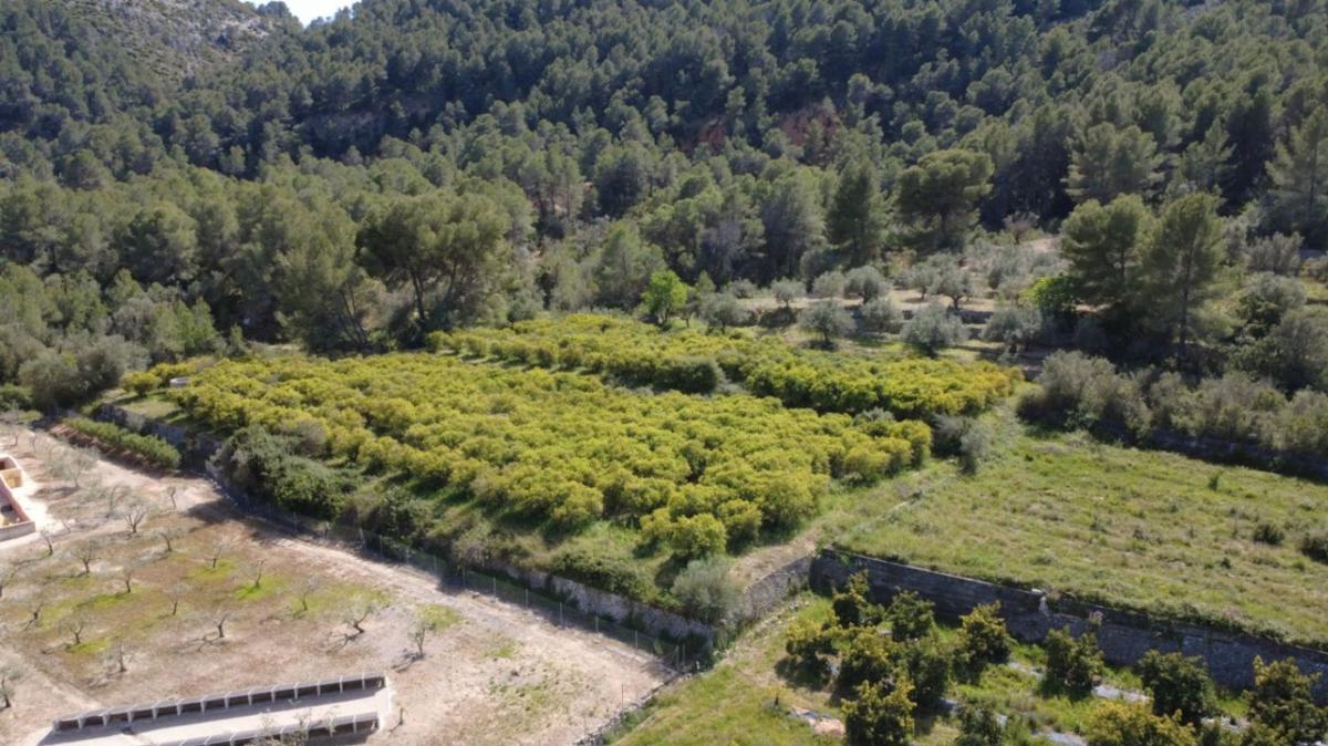 Terreno en venta en Orba, Alicante photo 2