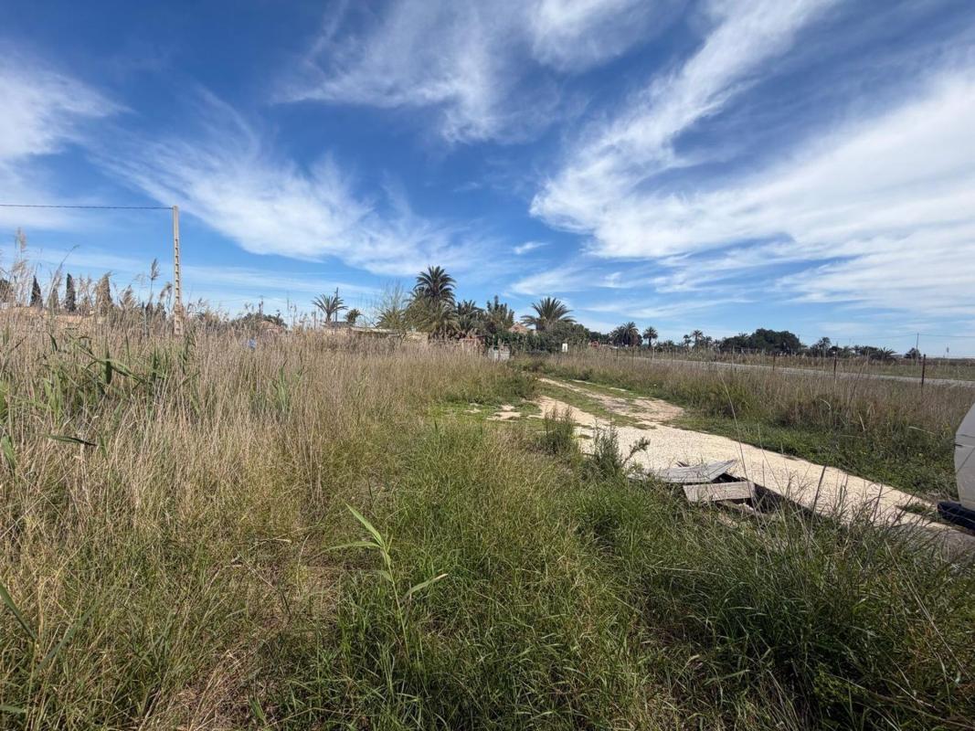 Terreno en venta en Elche / Elx, Alicante photo 3