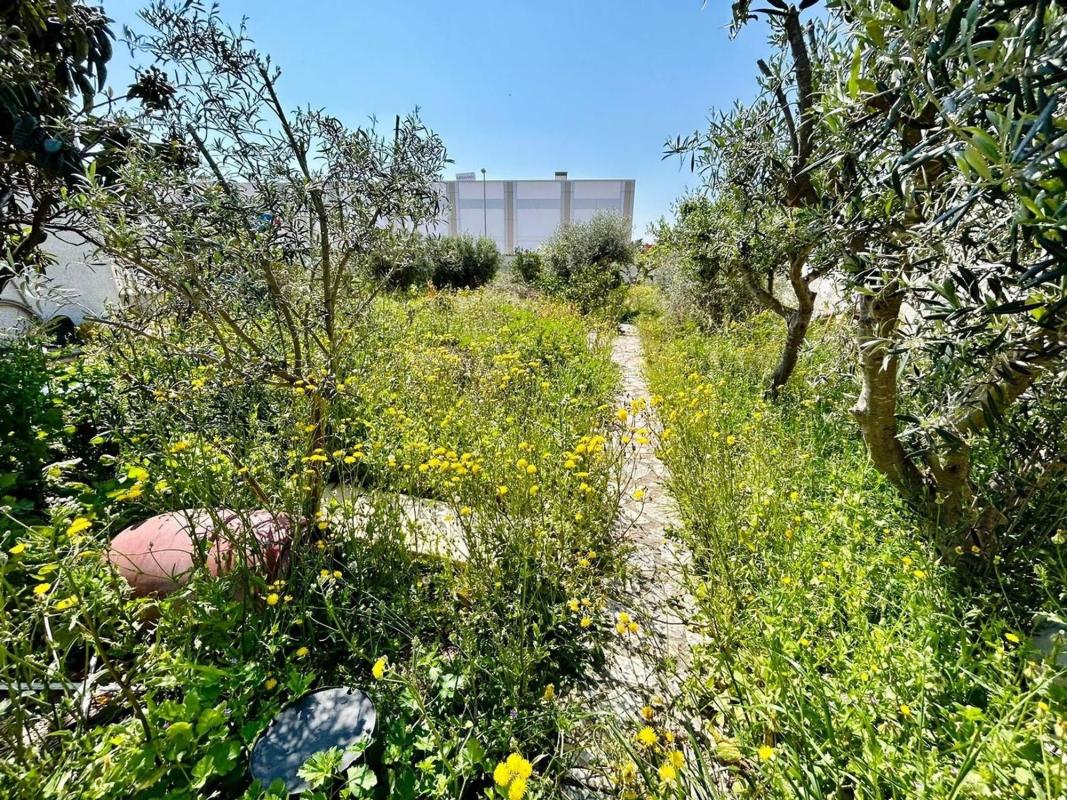 Terreno en venta en Rojales, Alicante photo 2