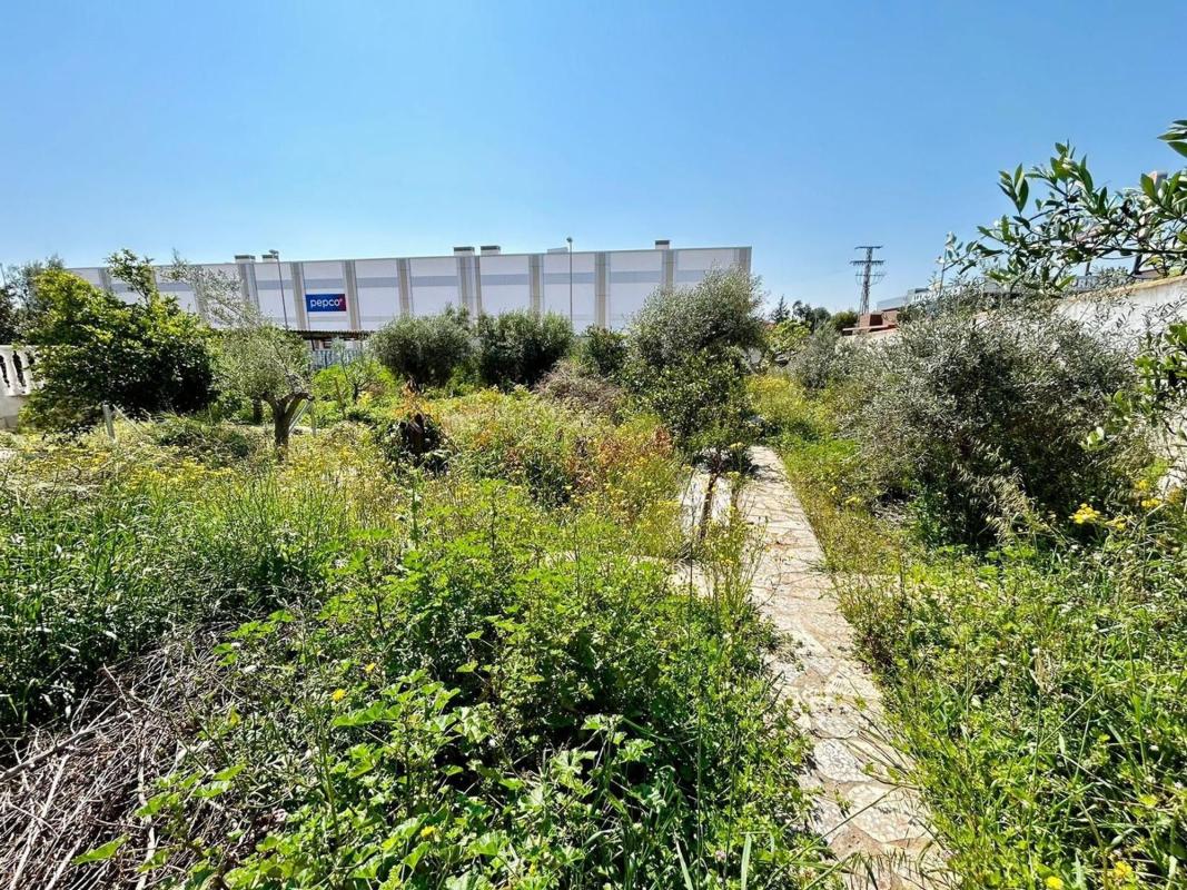 Terreno en venta en Rojales, Alicante photo 3