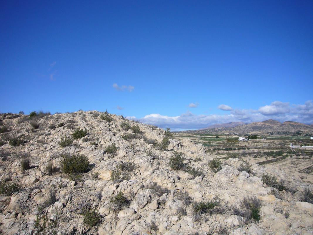 Land for sale in Rebolledo, Alicante photo 5