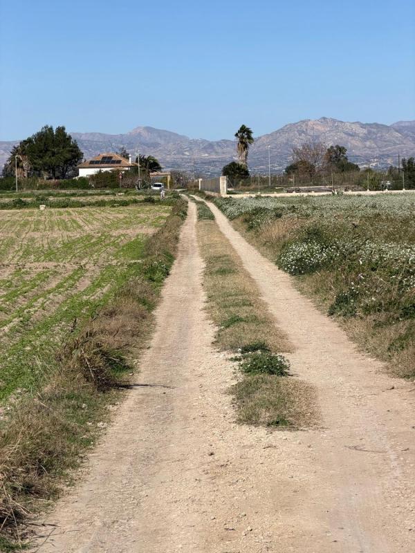Land for sale in Orihuela, Alicante photo 1