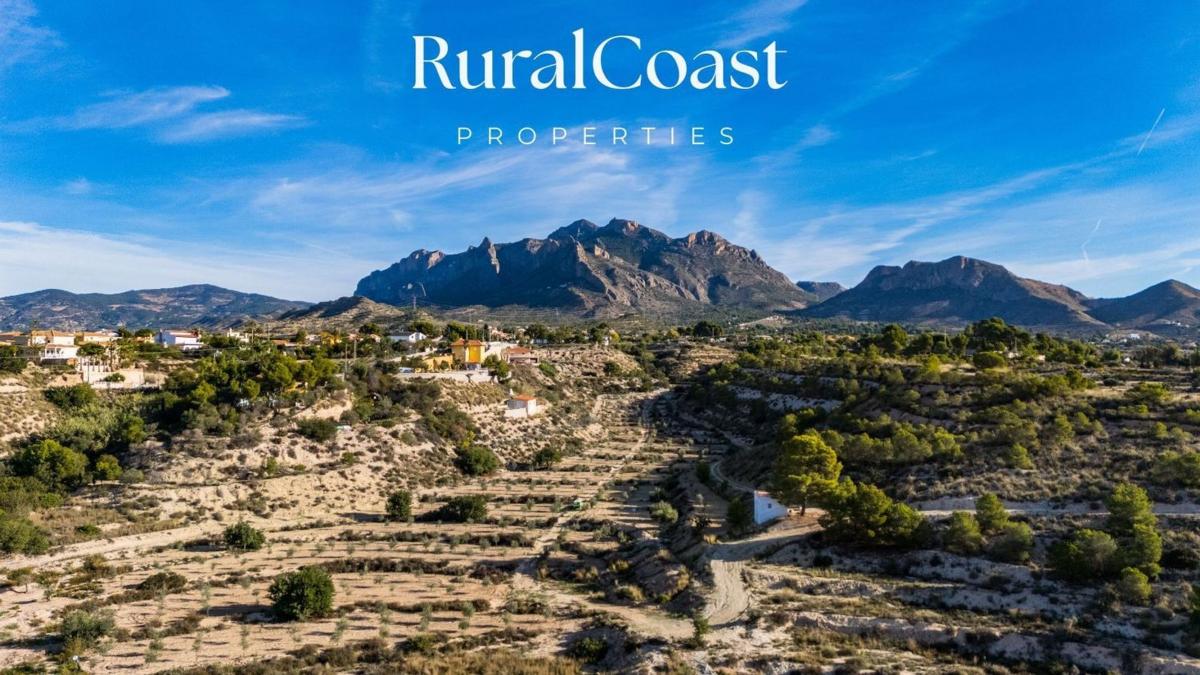 Land for sale in Busot, Alicante photo 3