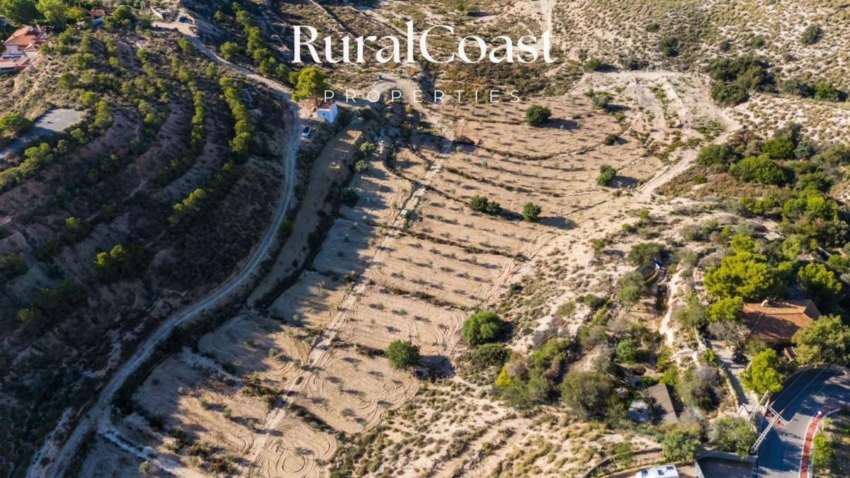 Land for sale in Busot, Alicante photo 4