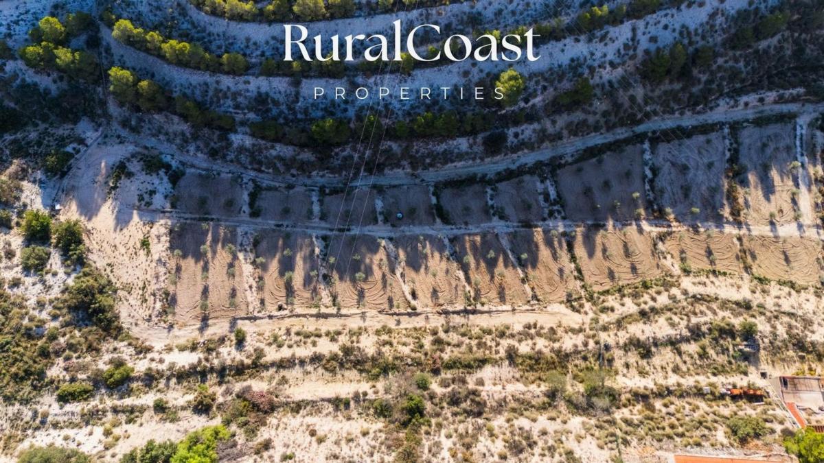 Land for sale in Busot, Alicante photo 5