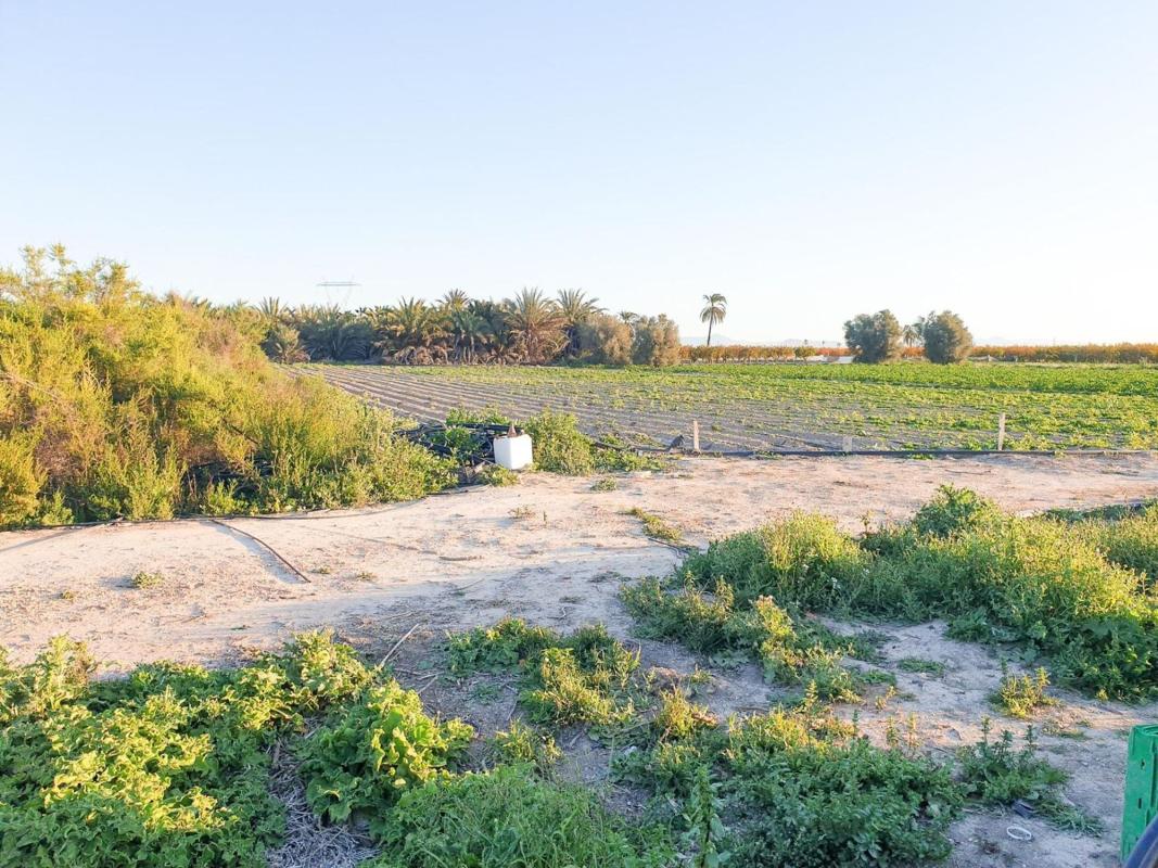 Terreno en venta en Elche / Elx, Alicante photo 4