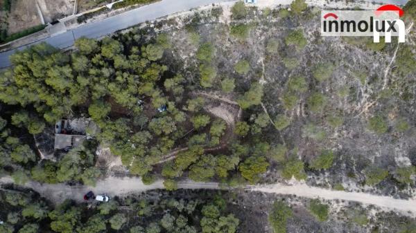 Terreno en Tibi photo 2