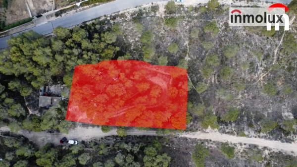 Terreno en Tibi photo 3