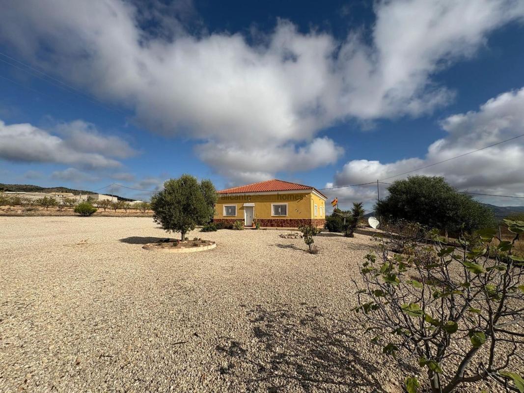 Sale of independent chalet in Pinoso, Pinoso
 photo 3