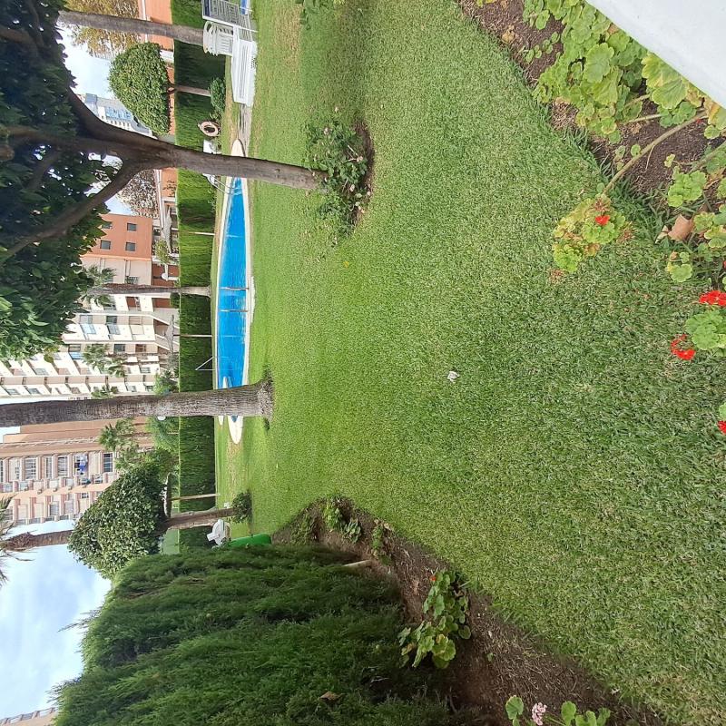 Venta de piso en JUAN FUSTER ZARAGOZA, Benidorm
 photo 4