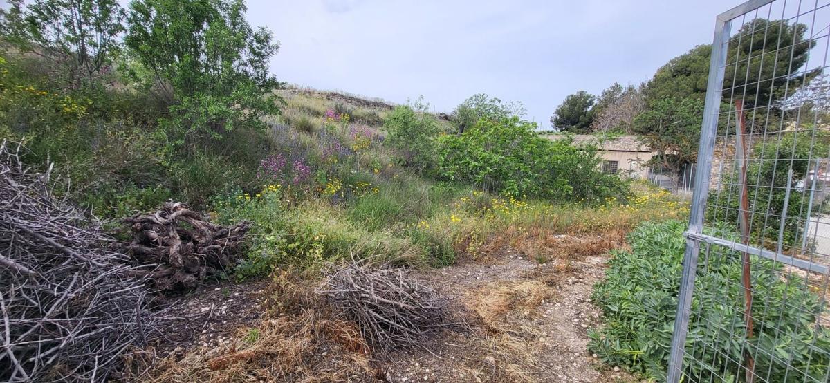 Properties for sale and rent in Spain photo 2
