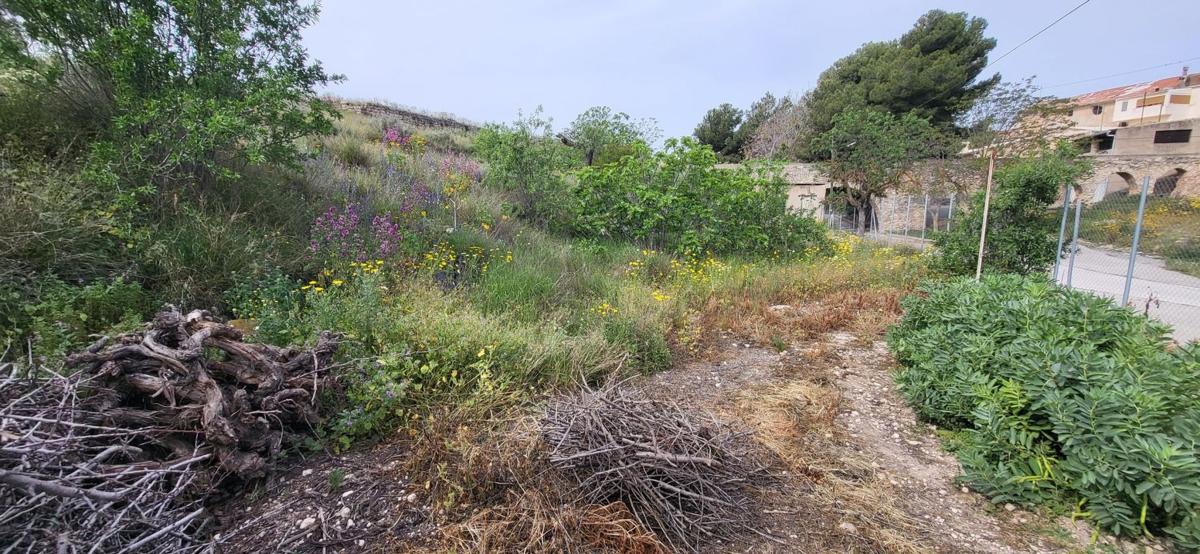 Properties for sale and rent in Spain photo 3