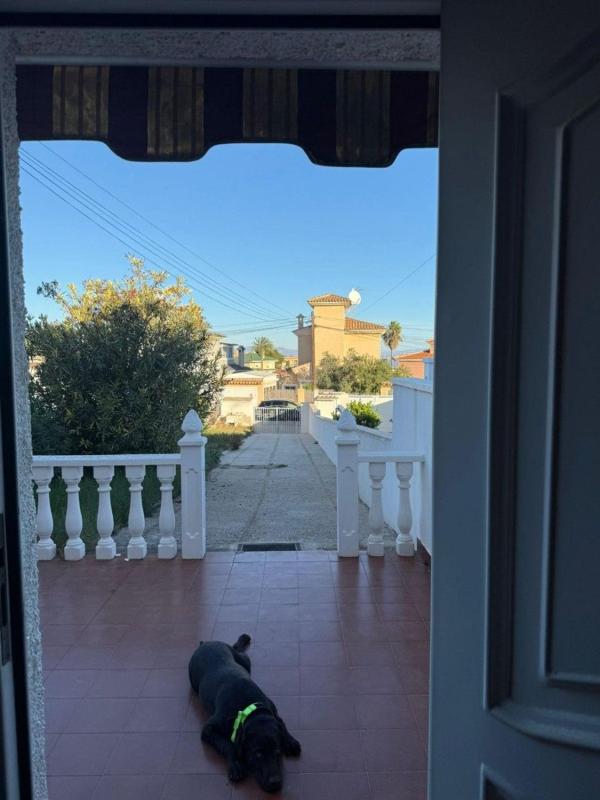 Properties for sale and rent in Spain photo 5