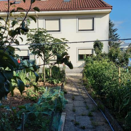 Chalet adosado en Rio Iso, 18 photo 2