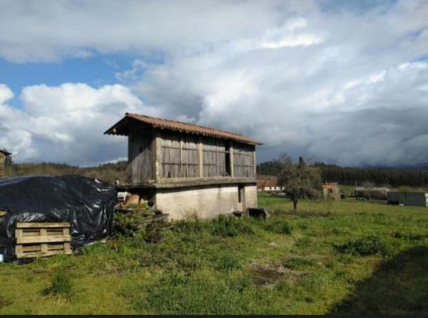 Casa de pueblo en calle Sabuceda s/n photo 4