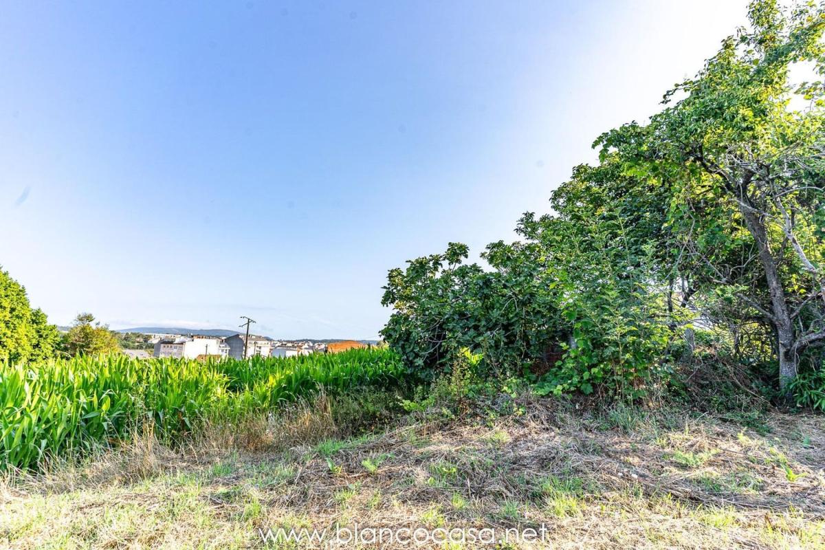Venta de chalet independiente en Carballo, Carballo
photo 3