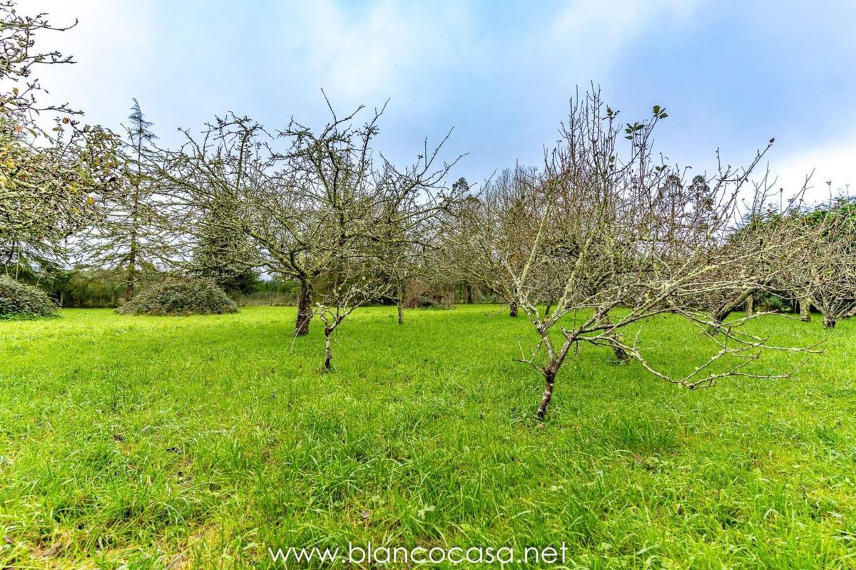 Venta de finca rústica en  Coristanco , Coristanco photo 3