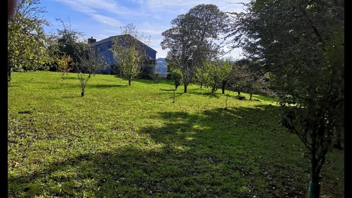 Properties for sale and rent in Spain photo 3