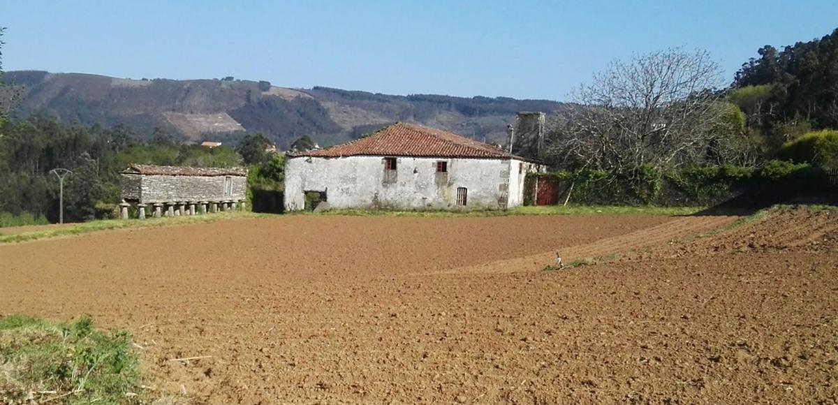 Properties for sale and rent in Spain photo 1