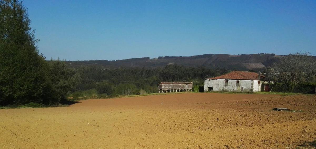 Properties for sale and rent in Spain photo 2