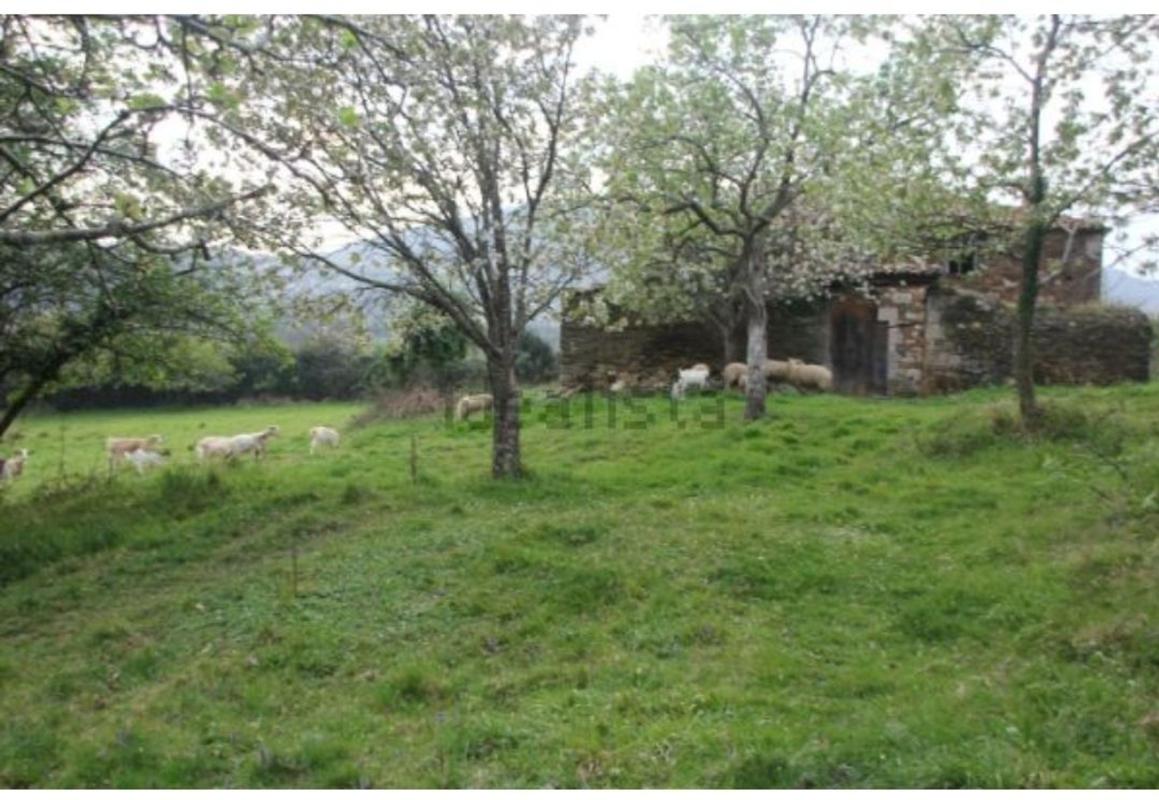 Sale of rural property in Lugar Goive Arriba, 110 , Pontedeume photo 4