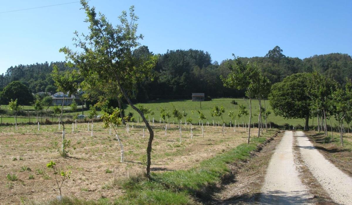 Sale of independent chalet in As Pontes de Garcia Rodriguez, As Pontes de Garcia Rodriguez
 photo 2